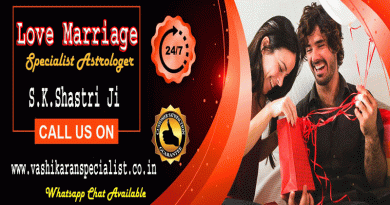 Online love marriage specialist in Delhi